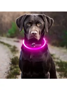 Áll0tható LED kutyanyakörv