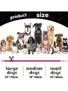 Áll0tható LED kutyanyakörv