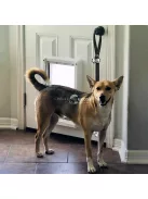 Hangos kiskutya ajtócsengő