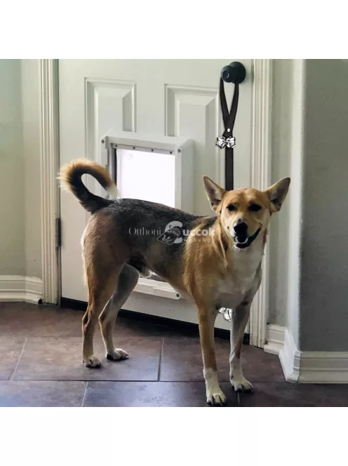 Hangos kiskutya ajtócsengő