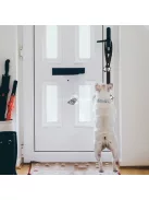 Hangos kiskutya ajtócsengő