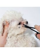 Kisállat ápolási készlet: Könnyfolt eltávolító fésű és Szőrvágó olló