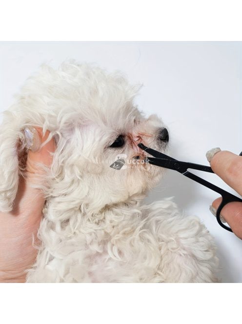 Kisállat ápolási készlet: Könnyfolt eltávolító fésű és Szőrvágó olló