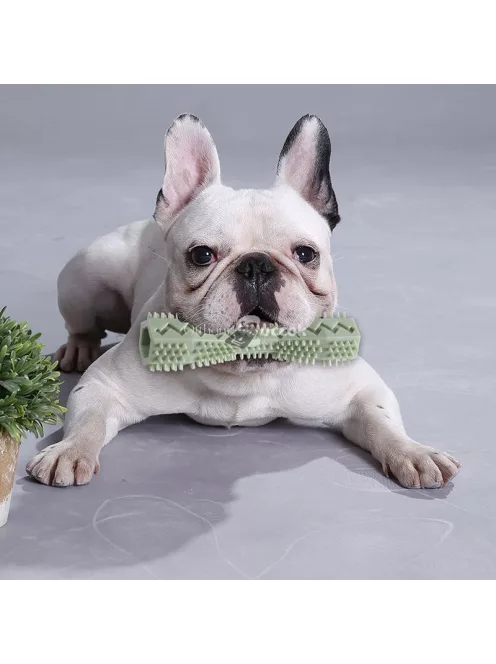 Tartós rágóbot kutyáknak