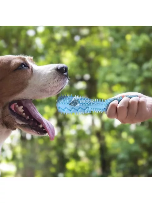 Tartós rágóbot kutyáknak