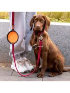 Hordozható állateledel tál: Összecsukható és tartós