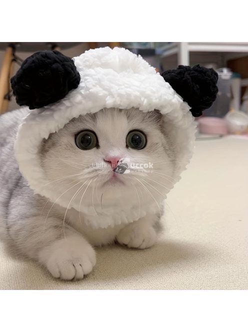 Macskakalap, Aranyos Plüss Macskafejvédő