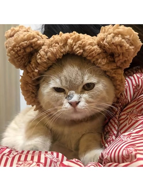 Macskakalap, Aranyos Plüss Macskafejvédő