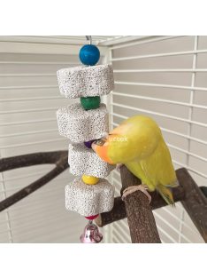 Papagáj Csőr Csiszoló Kő