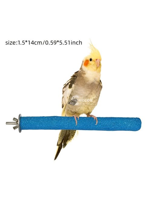 Színes madár csőr erősítő