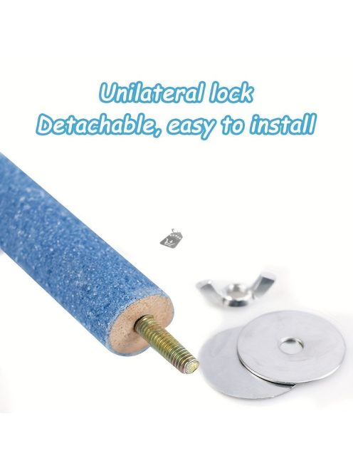 Színes madár csőr erősítő