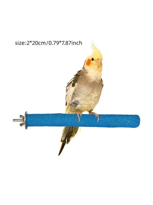 Színes madár csőr erősítő