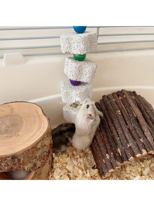 Csőr Csiszoló Kő Papagájoknak