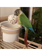 Natúr szalmagombóc, csőr csiszoló