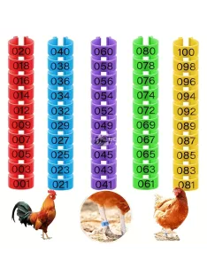 100 Darab Csirke Lábgyűrű 5 Színben