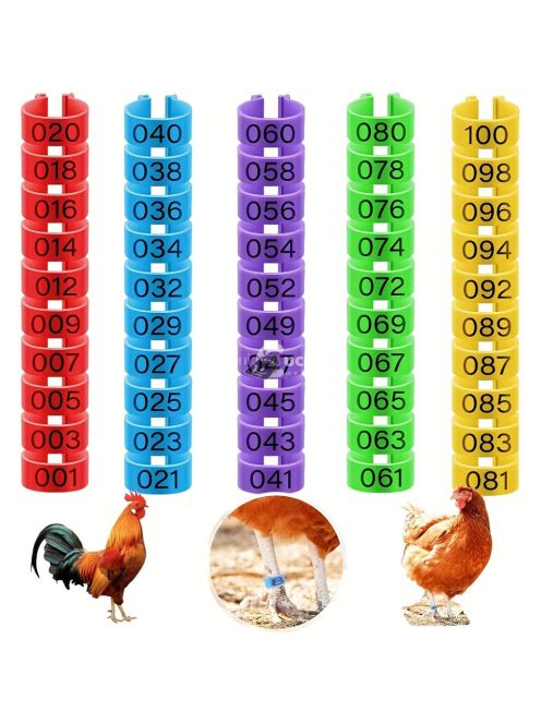 100 Darab Csirke Lábgyűrű 5 Színben