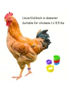 100 Darab Csirke Lábgyűrű 5 Színben