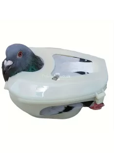   Galamb rögzítő tartó madáretetéshez, gyógyszeradagoláshoz, oltáshoz,