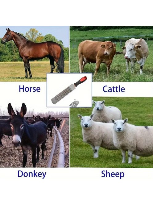 Pata Csiszoló szerszám