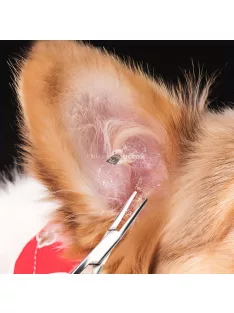 Fülszőr Eltávolító Kutyakozmetikai Eszköz