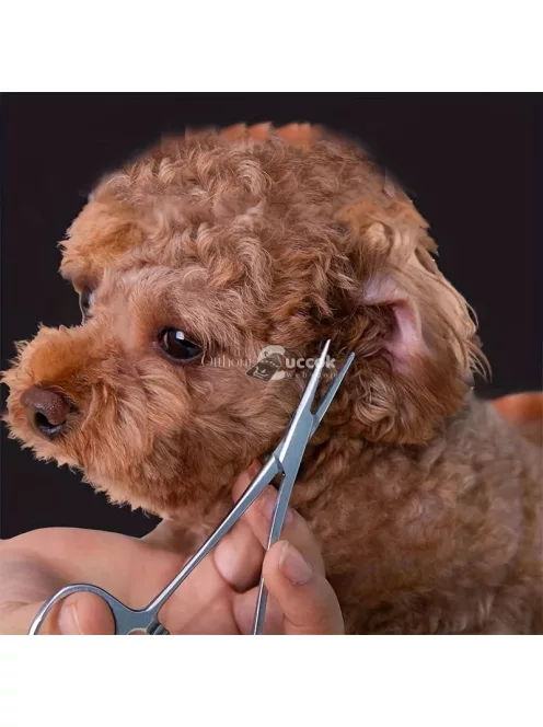 Fülszőr Eltávolító Kutyakozmetikai Eszköz