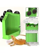 Gyík etető tapadókorongokkal