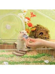   6 db-os szögletes természetes rágókövek hörcsögöknek, nyulaknak