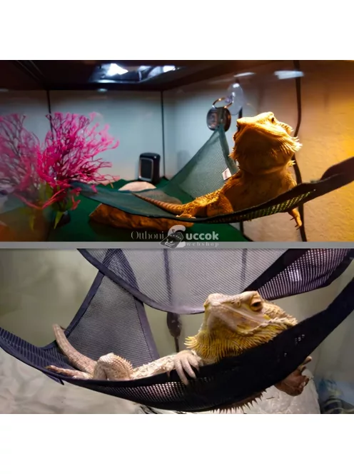 2db Légáteresztőfüggőágy hüllők számára