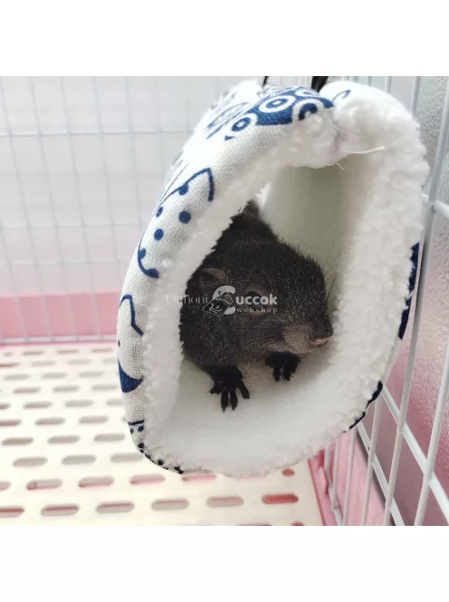 Színes kisállat ház