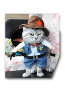 Vicces kisállat farmer öltöny - Aranyos macska farmer jelmez