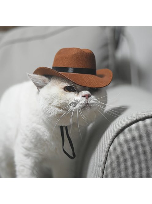 Macska-cowboy Sapka