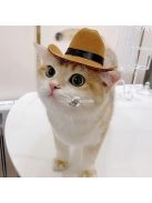 Macska-cowboy Sapka