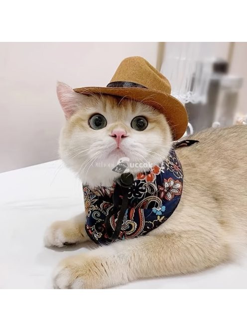 Macska-cowboy Sapka