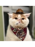 Macska-cowboy Sapka