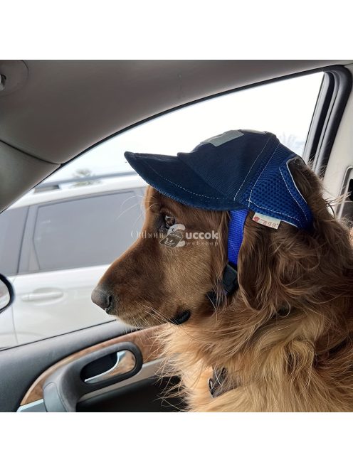 Állítható baseballsapka kutyusoknak