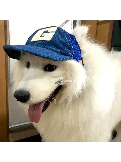 Állítható baseballsapka kutyusoknak