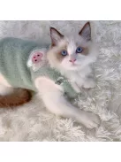 Imádnivaló Őszi És Téli Macska Mellény