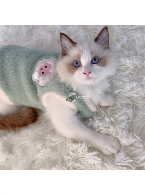 Imádnivaló Őszi És Téli Macska Mellény