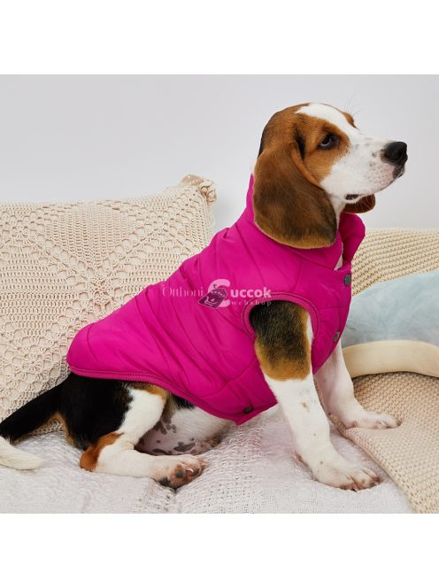 1 db egyszínű vastagított téli kabát kutyáknak