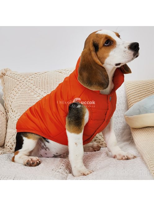 1 db egyszínű vastagított téli kabát kutyáknak