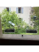 Ablakra helyezhető átlátszó, tapadókorongos madáretető