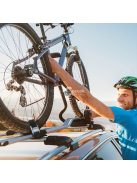 10db 50 Cm-es Rövid Szorítóheveder