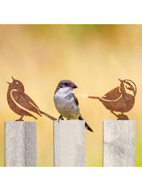 5db Rozsdás Madár Dekoráció
