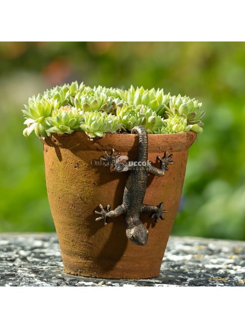 Bájos Gekkó Gyanta Szobor