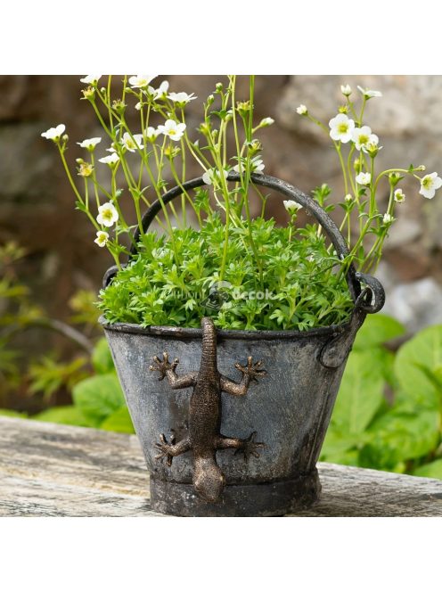Bájos Gekkó Gyanta Szobor