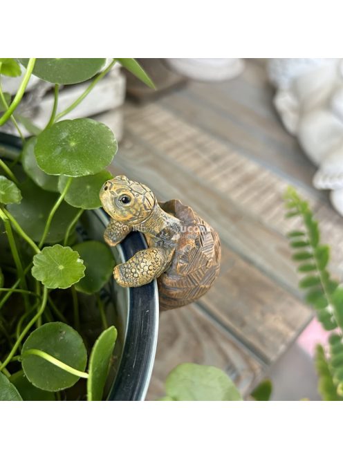 Rusztikus gyanta teknős szobor