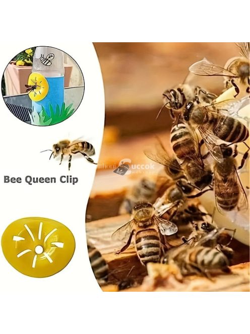 6db Méh- és Darázscsapda