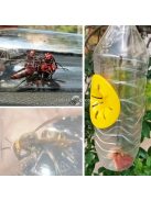 6db Méh- és Darázscsapda