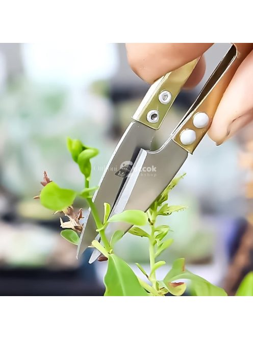 Precíziós Bonsai Metszőolló - Rozsdamentes Acél Kerti Olló Növényekhez, Virágokhoz és Rügyekhez