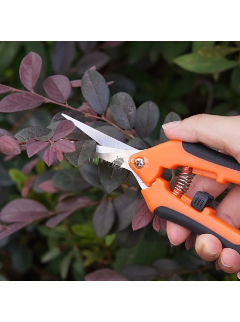 5 darabos Ergonomikus Kerti Szerszámkészlet Rozsdamentes Acél Metszőollóval, Magas Minőségű Pengékkel és Tárolótáskával